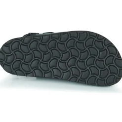 Citrouille et Compagnie - GLORIUS