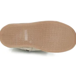 Citrouille et Compagnie - FEPOL