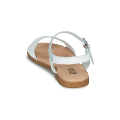 Citrouille et Compagnie - OBILO Blanc Online