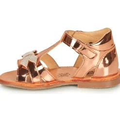 Sale Citrouille et Compagnie - MINIMOME Bronze