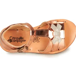 Sale Citrouille et Compagnie - MINIMOME Bronze