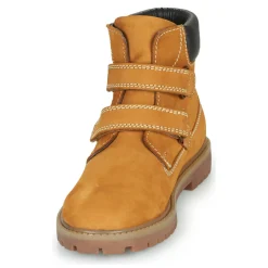 Citrouille et Compagnie - PAXA