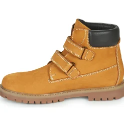 Citrouille et Compagnie - PAXA