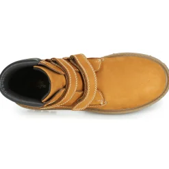 Citrouille et Compagnie - PAXA