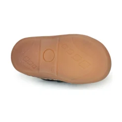 Citrouille et Compagnie - PIOTE Marine Hot