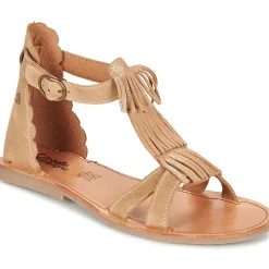 Citrouille et Compagnie - GAMELA