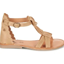 Citrouille et Compagnie - GAMELA