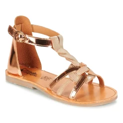 Citrouille et Compagnie - GITANOLO