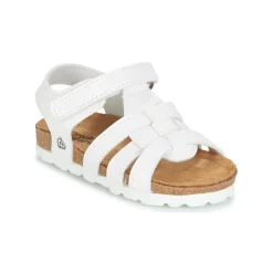 Citrouille et Compagnie - JANISOL