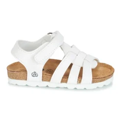 Citrouille et Compagnie - JANISOL