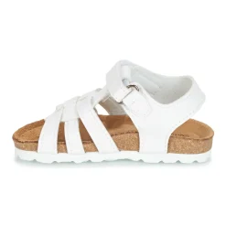 Citrouille et Compagnie - JANISOL