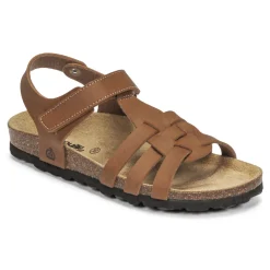 Citrouille et Compagnie - JANISOL