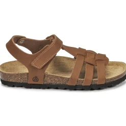 Citrouille et Compagnie - JANISOL