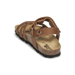 Citrouille et Compagnie - JANISOL