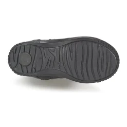 Citrouille et Compagnie - AMATIS