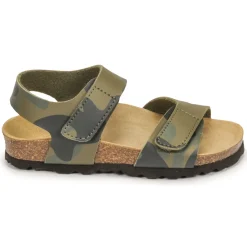 Citrouille et Compagnie - BELLI JOE