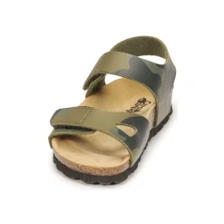 Citrouille et Compagnie - BELLI JOE