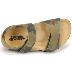 Citrouille et Compagnie - BELLI JOE