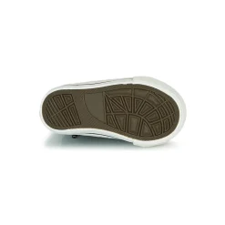 Citrouille et Compagnie - OUTIL Noir Hot