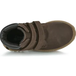 Citrouille et Compagnie - PAXA Marron