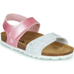 Citrouille et Compagnie - BELLI JOE