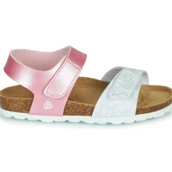 Citrouille et Compagnie - BELLI JOE