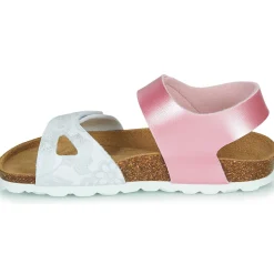 Citrouille et Compagnie - BELLI JOE