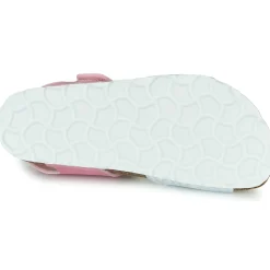 Citrouille et Compagnie - BELLI JOE