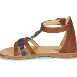 Citrouille et Compagnie - GITANOLO