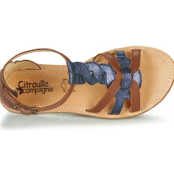 Citrouille et Compagnie - GITANOLO