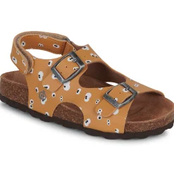 Citrouille et Compagnie - TOTIS