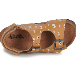 Citrouille et Compagnie - TOTIS