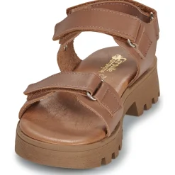 Hot Citrouille et Compagnie - PIANA Camel