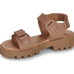 Hot Citrouille et Compagnie - PIANA Camel