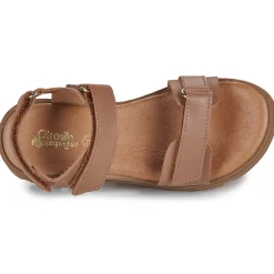 Hot Citrouille et Compagnie - PIANA Camel