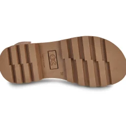 Hot Citrouille et Compagnie - PIANA Camel