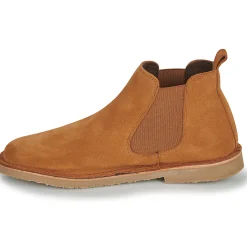 Citrouille et Compagnie - HOUVETTE