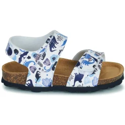 Citrouille et Compagnie - BELLI JOE Imprimébleudinosaures