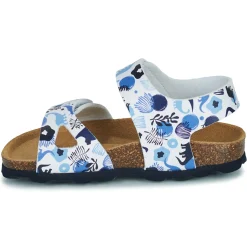 Citrouille et Compagnie - BELLI JOE Imprimébleudinosaures