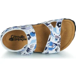 Citrouille et Compagnie - BELLI JOE Imprimébleudinosaures