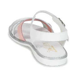 Sale Citrouille et Compagnie - IZOEGL