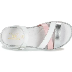 Sale Citrouille et Compagnie - IZOEGL