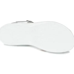 Sale Citrouille et Compagnie - IZOEGL