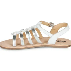 Citrouille et Compagnie - MAYANA