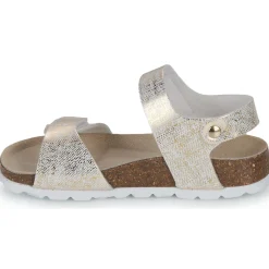 New Citrouille et Compagnie - PISTAMI Doré