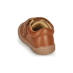 Citrouille et Compagnie - PIOTE Libano New