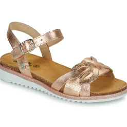 Citrouille et Compagnie - ANEMONI Bronze Clearance