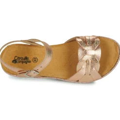 Citrouille et Compagnie - ANEMONI Bronze Clearance