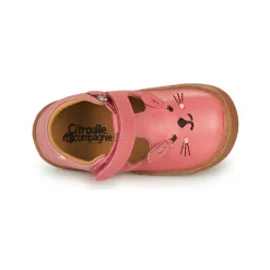 Citrouille et Compagnie - TIPELLE