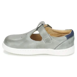 Citrouille et Compagnie - GALCO Gris New